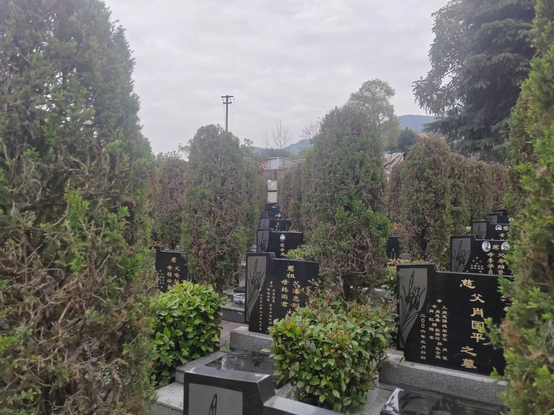 福果文化纪念园图片