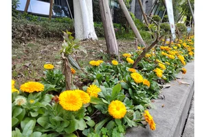 福果公墓的风水奥秘
